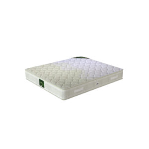 مرتبة ماتيلاتكس