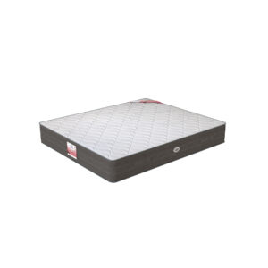 مرتبة أورثودوس